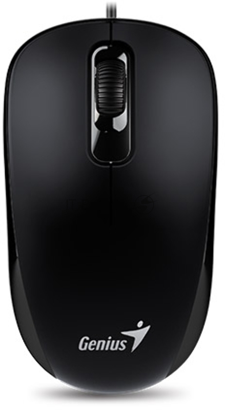 Оптическая мышь Genius DX-110, 2кн.+скр., черный (USB)
