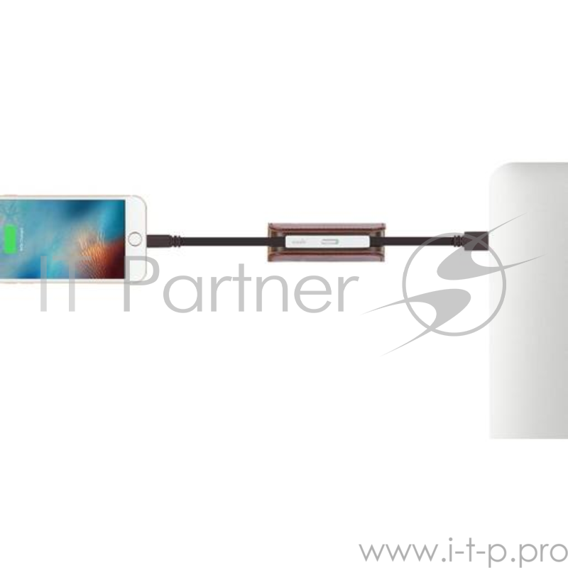 Портативный аккумулятор Moshi IonBank 3K. Емкость 3200 мАч. Цвет красный.