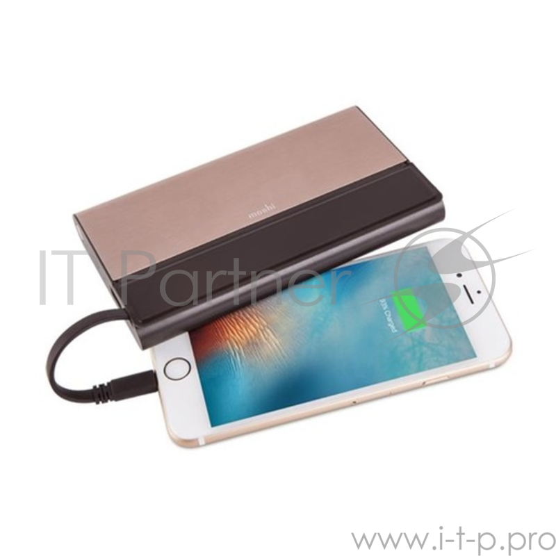 Портативный аккумулятор Moshi IonBank 10K. Емкость 10300 мАч. Цвет бронзовый.