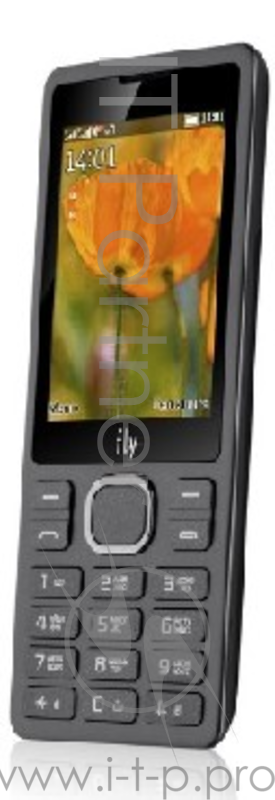 Сотовый телефон Fly FF282 Black