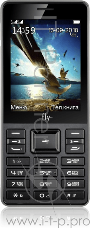 Сотовый телефон FLY TS114 BLACK экран 2.8