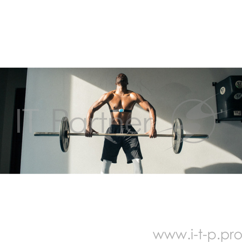 Монитор сердечного ритма Wahoo Fitness TICKR.