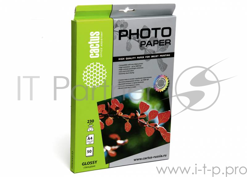 Бумага CACTUS GA423050 Фотобумага Cactus CS-GA423050 глянцевая, А4, 230 г/м2, 50 листов