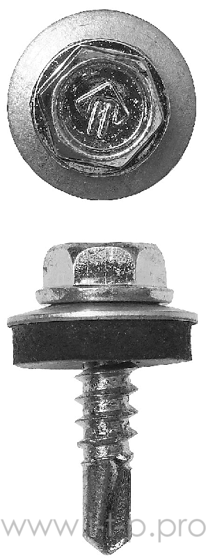 Зубр Саморезы для крепления кровельных материалов к металлическим конструкциям, оцинкованные, 5,5x38мм, 300шт 4-300315-55-038