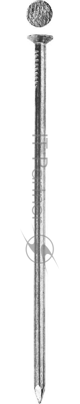 Зубр Гвозди