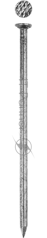 Зубр Гвозди