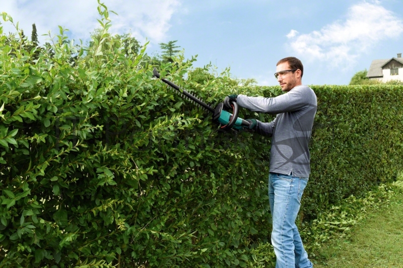 Кусторез Bosch AHS 55-20 LI (0600849G00)