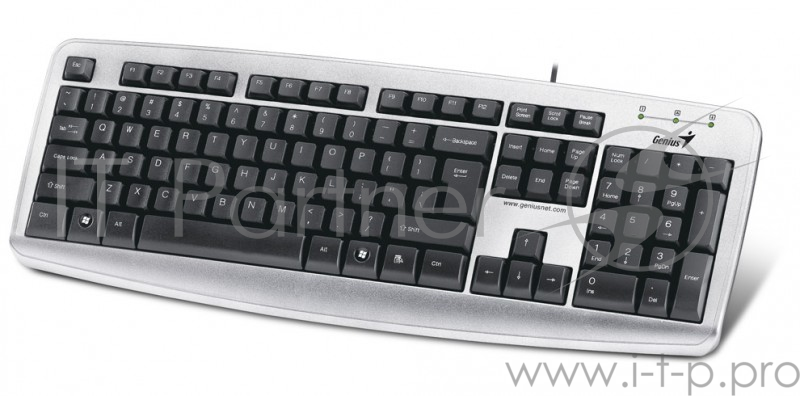 Клавиатура Genius KB110X черный USB