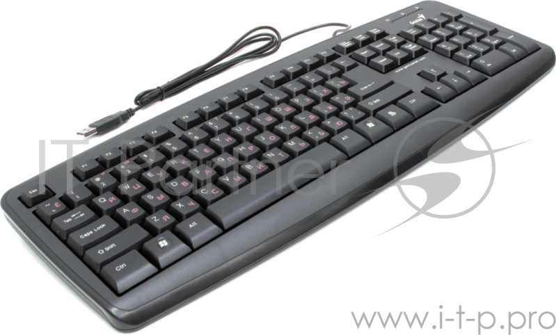 Клавиатура Genius KB110X черный USB