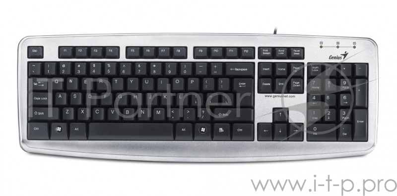 Клавиатура Genius KB110X черный USB