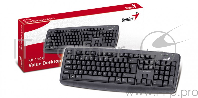 Клавиатура Genius KB110X черный USB