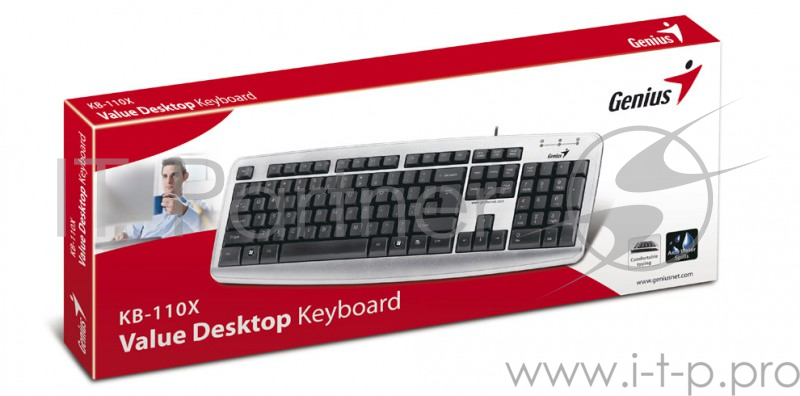 Клавиатура Genius KB110X черный USB