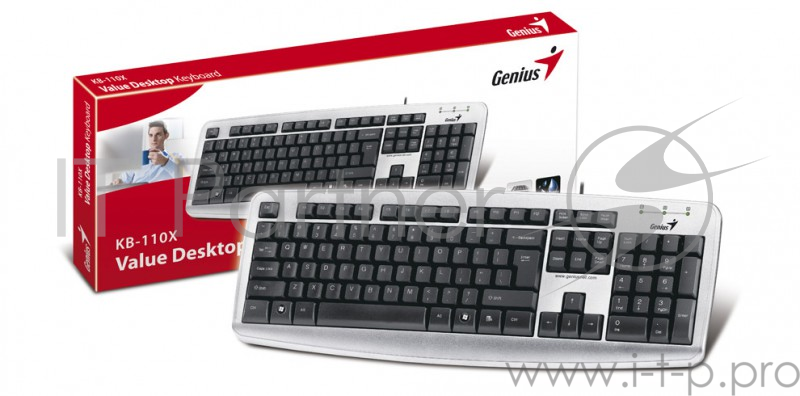Клавиатура Genius KB110X черный USB
