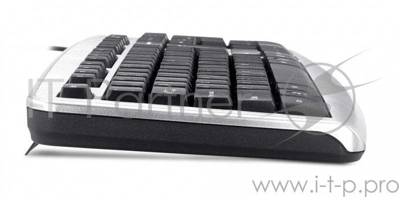 Клавиатура Genius KB110X черный USB