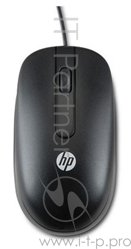 Мышь HP QY775AA черный оптическая (800dpi) PS/2 (2but)