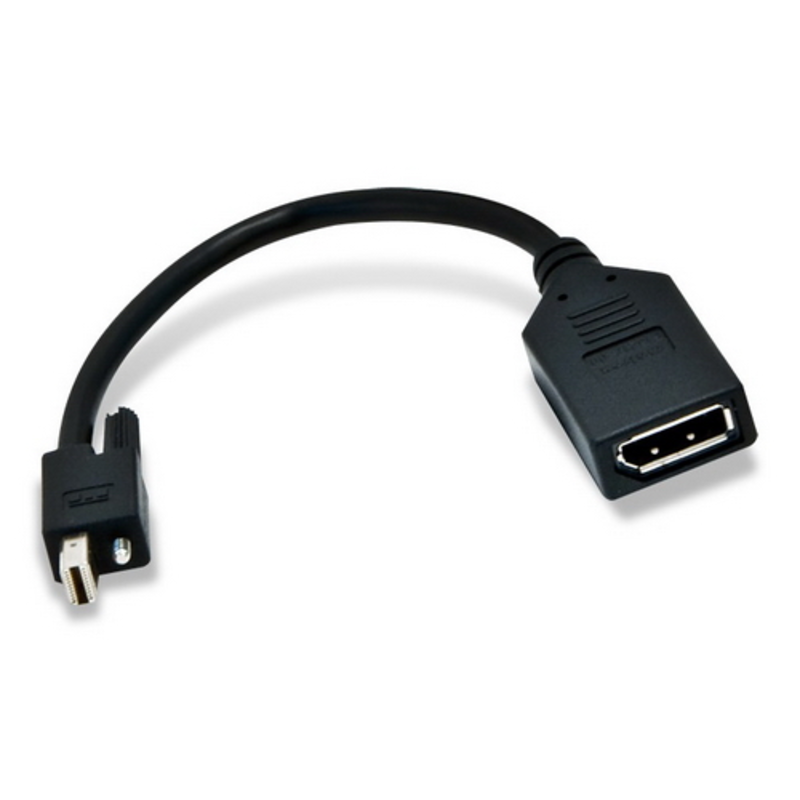 Кабель MINI DISPLAY PORT (M) TO DISPLAY (F) CABLE W/SECURE LOCK X6 & BRACKET (W/O GB)