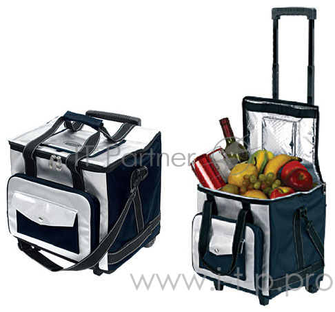 Термохолодильник Mystery МТН-32В (32л,65Вт,15 °-5 °C,тип рработы охлаждение,4.5кг)