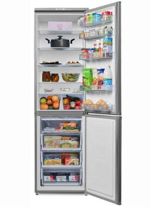 Холодильник DON R-296 MI (металлик игристый)