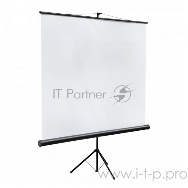 Экран Digis Kontur-C DSKC-1103 Экран на штативе,формат 1:1 200х200 MW