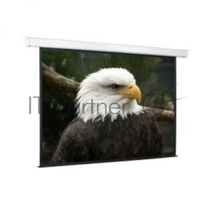 Экраны Screen Media ScreenMedia Champion SCM-4308 Экран с эл. приводом,406x305 MW