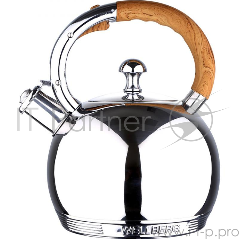 Чайник Wellberg WB-6350