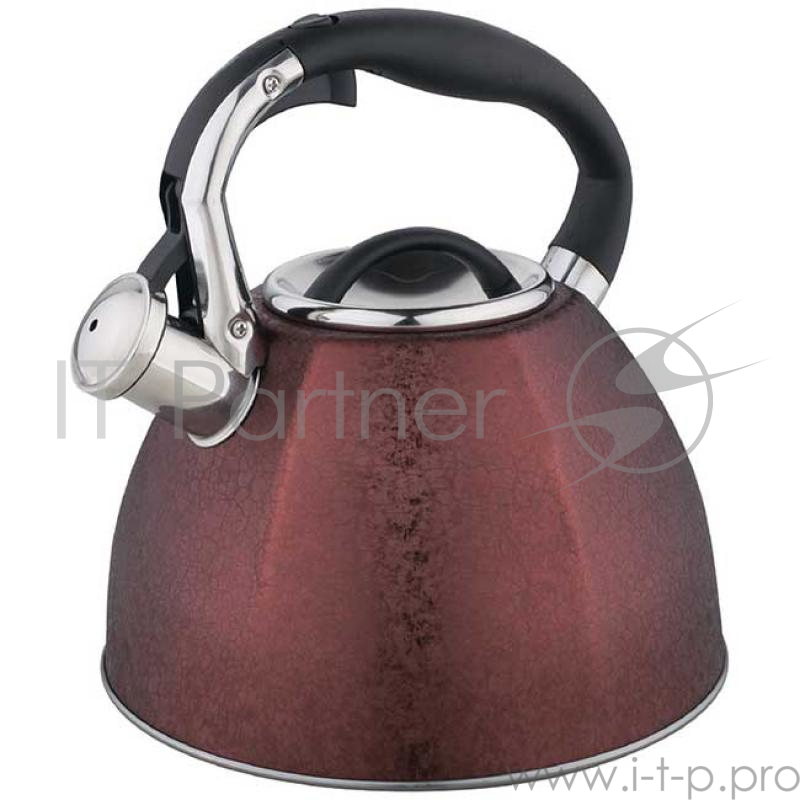 Чайник Zeidan Z-4216 бордо