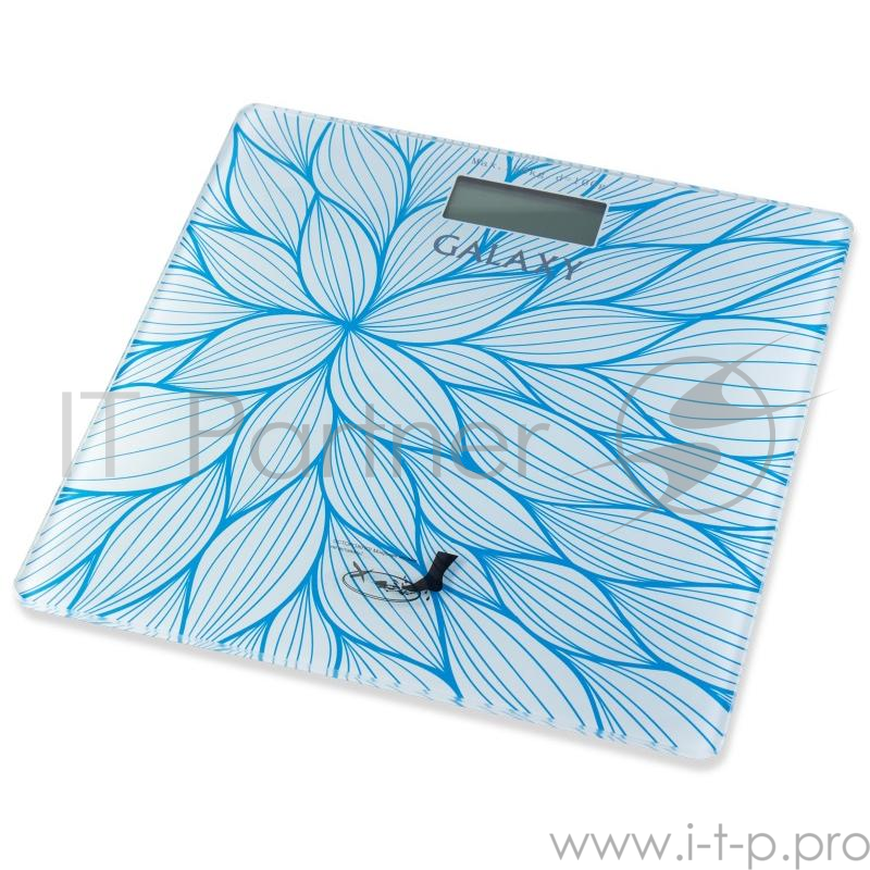 Весы электронные Galaxy GL4805