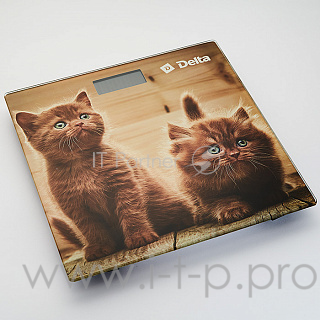 Весы напольные DELTA D-9229