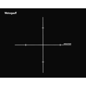 Индукционная варочная поверхность Weissgauff HI 32 черный