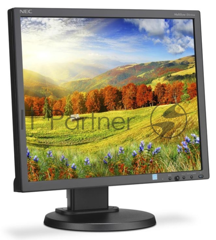 Монитор NEC 19