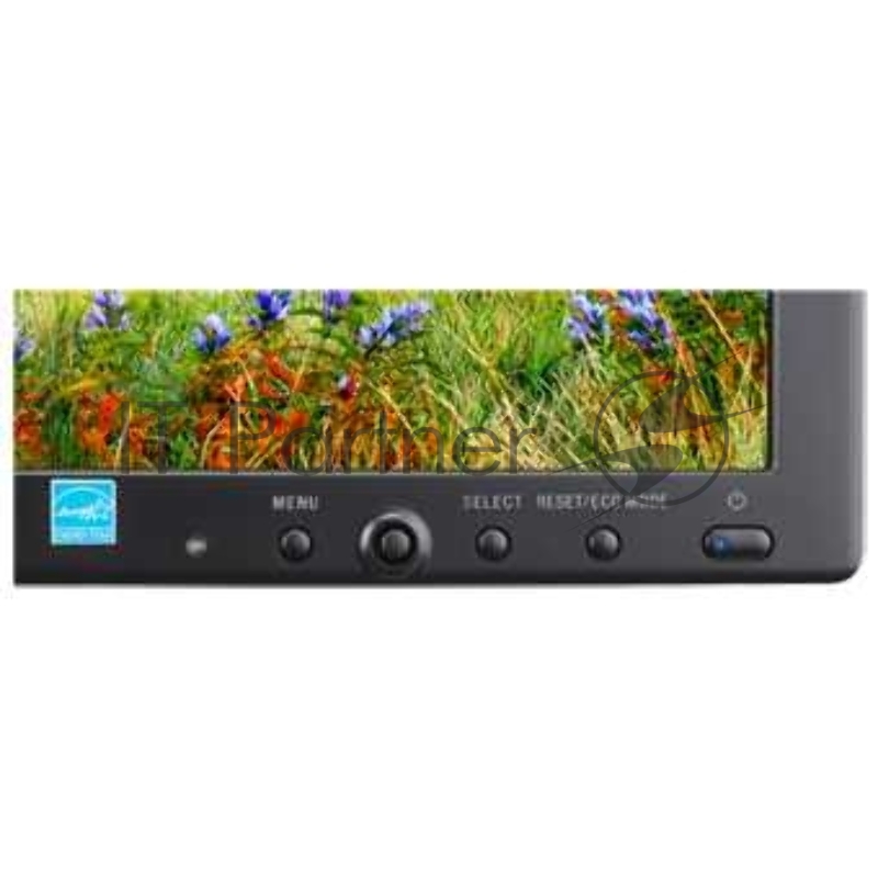 Монитор NEC 19