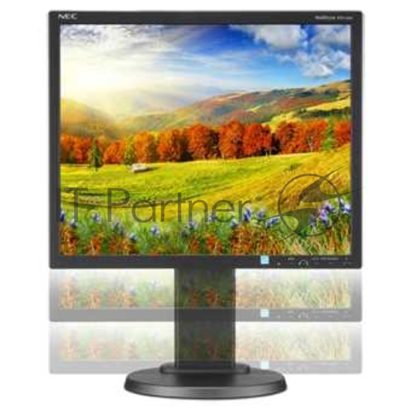 Монитор NEC 19