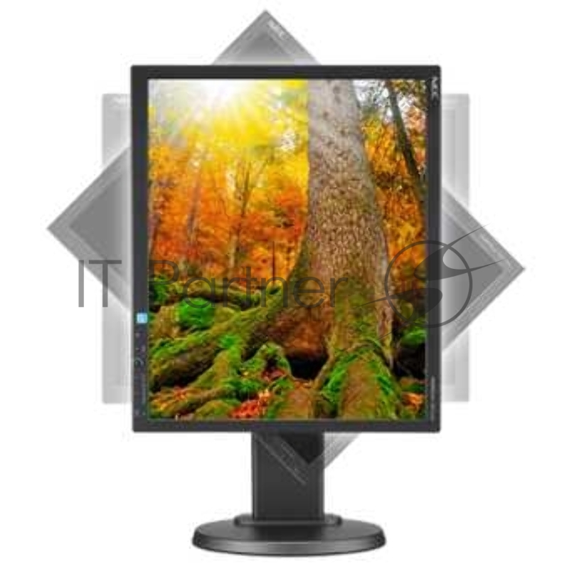 Монитор NEC 19