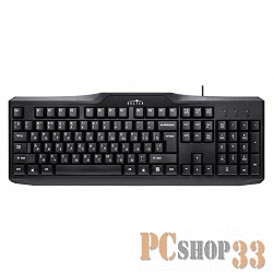 Клавиатура Oklick 170M черный PS/2 (KW-1318 PS/2) 866464