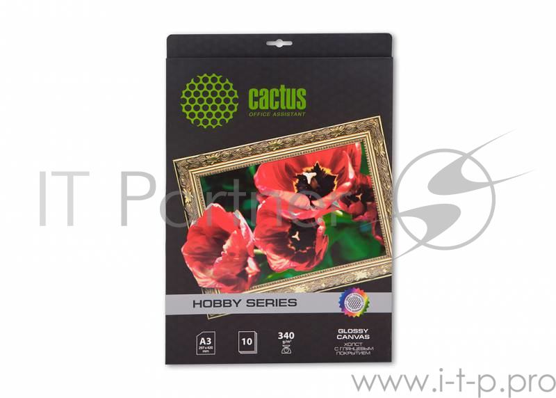 Холст Cactus CS-СGA326010 A3/340г/м2/10л. глянцевое хлопок для струйной печати