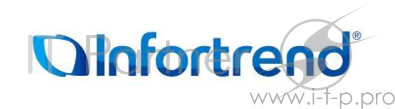 Плата расширения 2ISCSI RER10G1HIO2-0010 INFORTREND