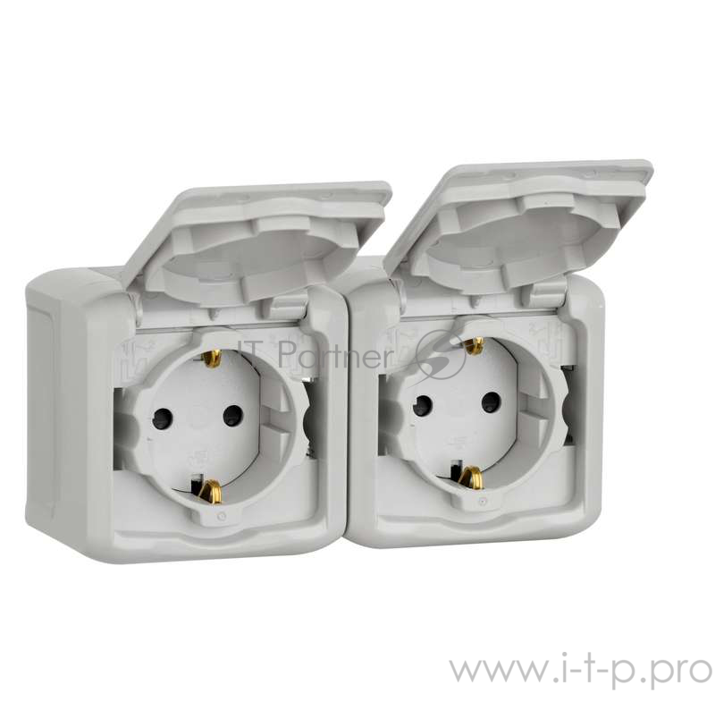 Электроустановочные изделия Legrand Legrand 782353 Розетка двойная с заземлением шторок IP44 (Серый)
