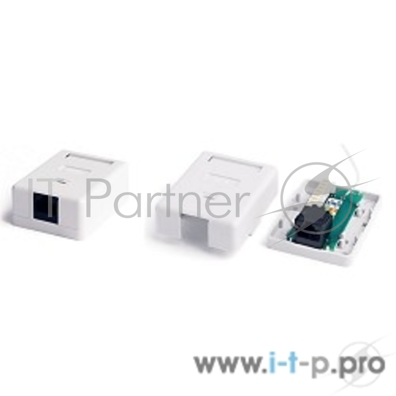 Монтажное оборудование Hyperline SB2-1-8P8C-C5e-WH Розетка компьютерная RJ-45(8P8C), категория 5e, одинарная, внешняя, Dual IDC(110&Krone type)