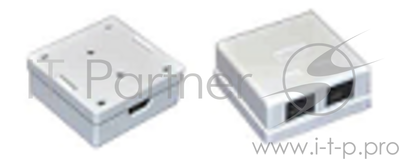 Настенная информационная розетка RJ45 8P8C, кат.5Е UTP, 2-порта, белая