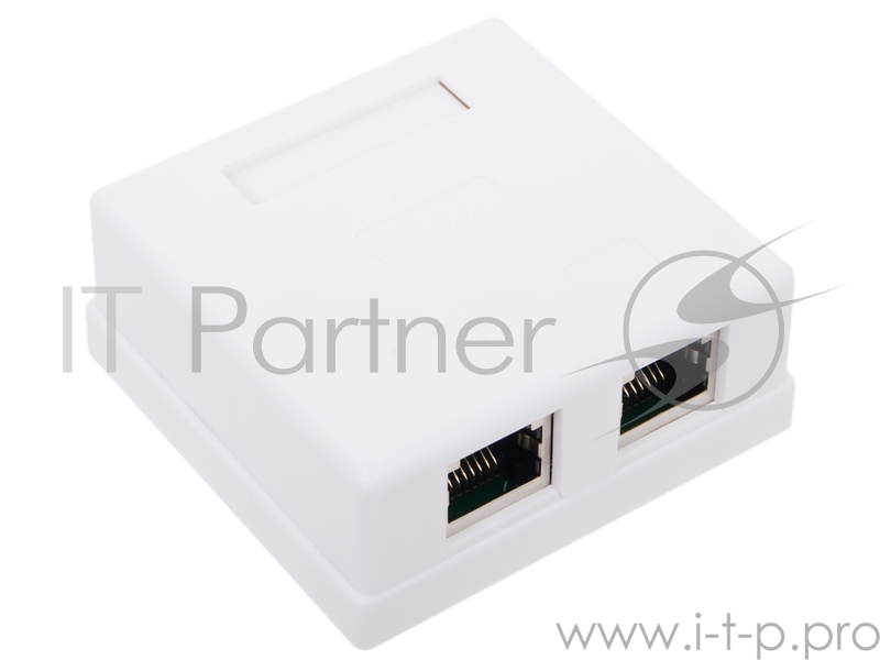 Розетка внешняя RJ-45 (FTP) 5E кат. двойная , экранированная