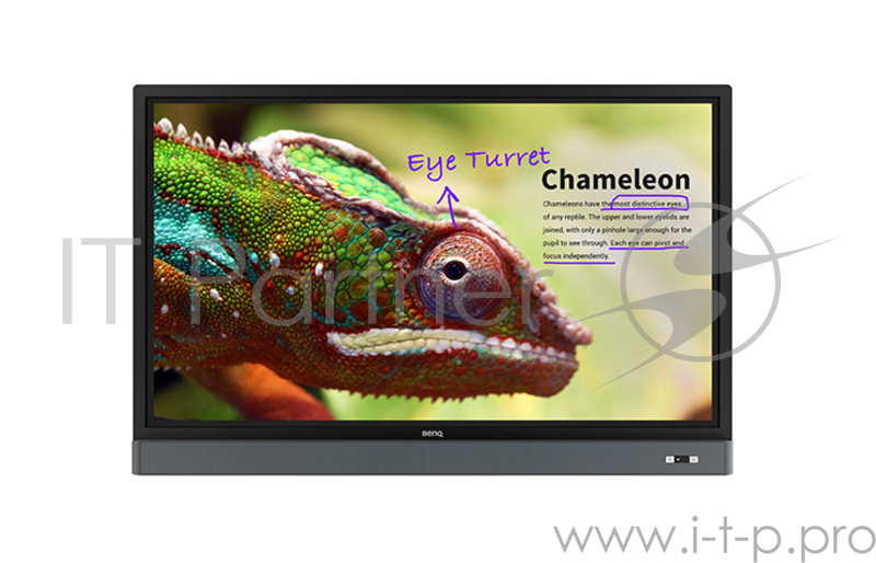 Профессиональная панель 55 IN BenQ INTERACTIVE FLAT PANEL RM5501K BLACK