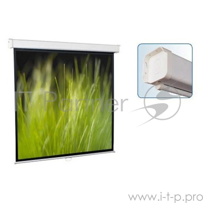 Экран ScreenMedia Goldview SGM-4306 Экран настенный,229x305 MW