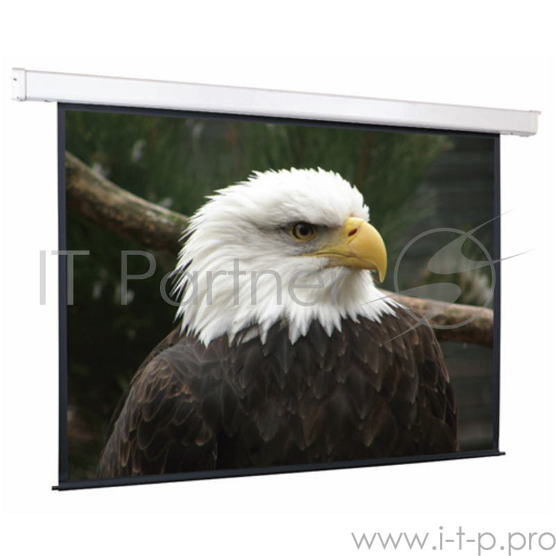 Экран ScreenMedia Champion SCM-16906 Экран с эл. приводом, 305*305 см., раб. пов. 297*167 см MW