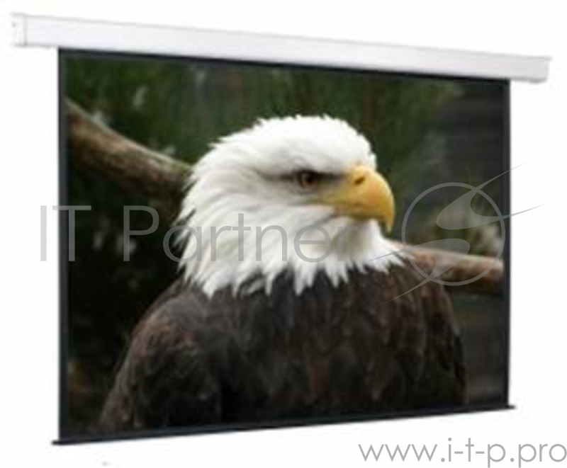 Экран ScreenMedia Champion SCM-16906 Экран с эл. приводом, 305*305 см., раб. пов. 297*167 см MW