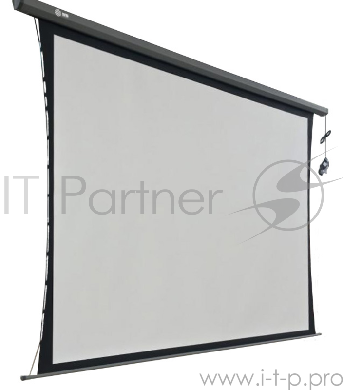 Экран Cactus 206x274см Professional Tension Motoscreen CS-PSPMT-206x274 4:3 настенно-потолочный рулонный (моторизованный привод)