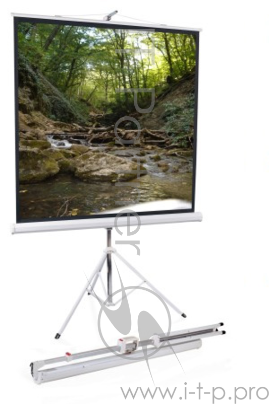 Экран на штативе Apollo 180*180 MW