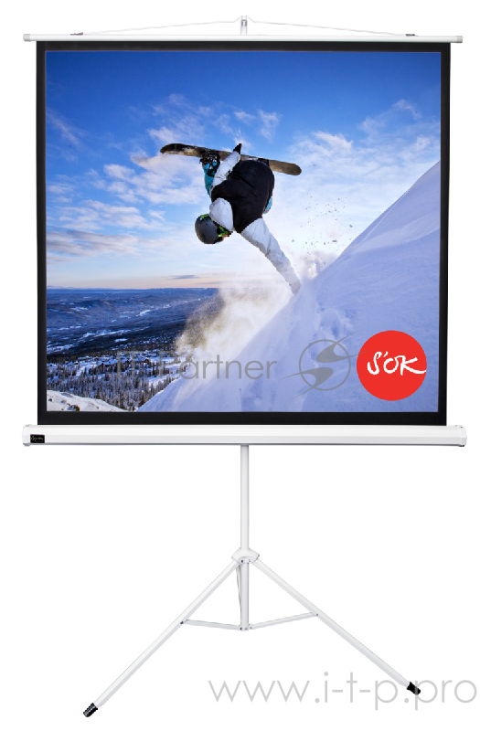 Экран 127x127см TriScreen 1:1 напольный рулонный белый 71'