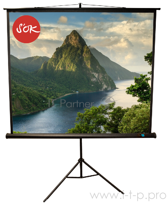 Экран 180x180см TriScreen 1:1 напольный рулонный ЧЕРНЫЙ 100'