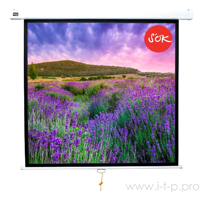 Экран 180x180см Wallscreen 1:1 настенно-потолочный рулонный белый 100