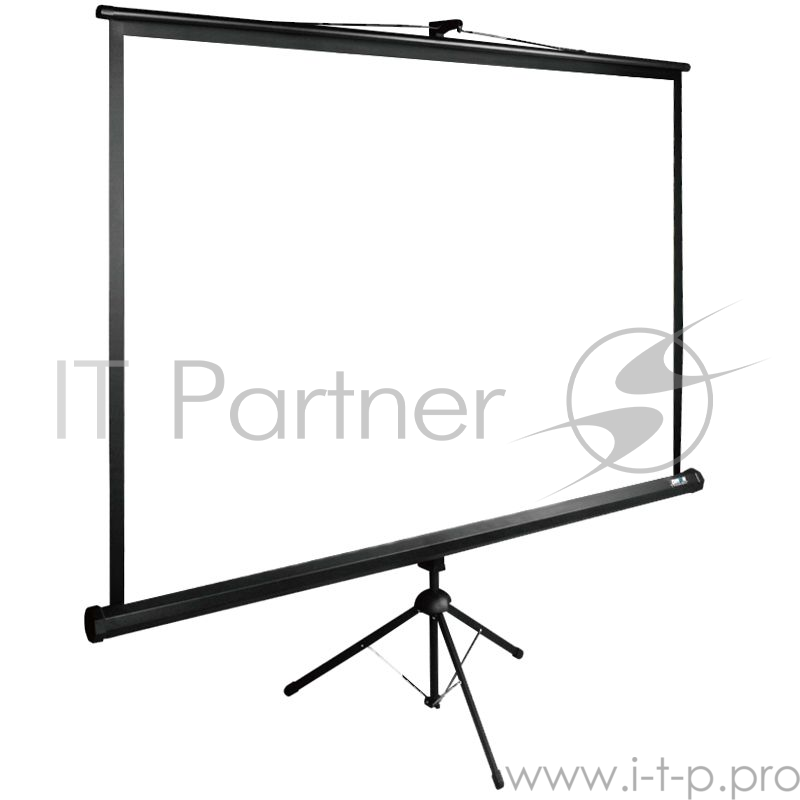 Экран Cactus 200x200см TriExpert CS-PSTE-200х200-BK 1:1 напольный рулонный